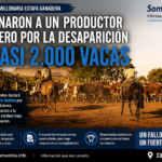 Impacto en Curuzú Cuatiá: condenaron a un productor ganadero por la desaparición de casi 2.000 vacas en una millonaria estafa