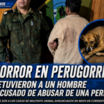 HORROR EN PERUGORRÍA: DETUVIERON A UN HOMBRE ACUSADO DE ABUSAR DE UNA PERRA