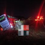 Un micro chocó contra un búfalo sobre Ruta 118 y terminó inclinado en la banquina