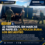 22 TERNEROS, SIN MARCAS NI PAPELES: LA POLICÍA RURAL LOS SECUESTRÓ Y BUSCAN DETERMINAR SU PROCEDENCIA